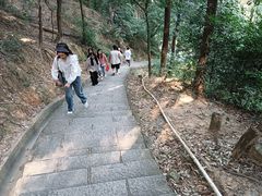 -火炉山森林公园