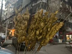 -曾记大腰子烧烤(苗栗路总店)