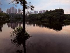 -重庆彩云湖湿地公园