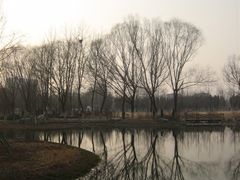 12-济南森林公园