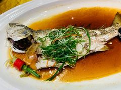 -新海利海鲜城·41年珠海老字号(夏湾店)