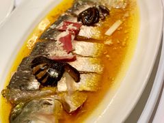 鲥鱼-福1015(愚园路店)