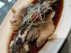 清蒸笋壳鱼-望乡楼上海菜(日月光店)