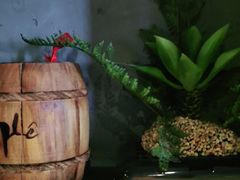 -观唐足道SPA养生会馆(南湖店)