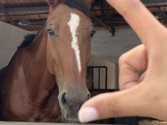 -松声马术俱乐部