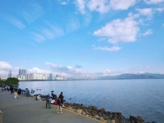 -深圳湾公园(南山区)