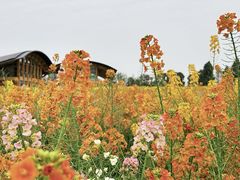 -中国天府农业博览园