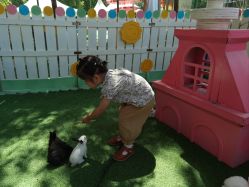 -萌宠亲子动物乐园(槐房万达店)