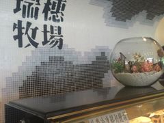 -瑞穗牧场