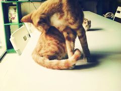 psb-南京夫子庙国际青年旅舍(平江府路店)