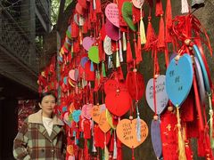 -重庆十八梯传统风貌区