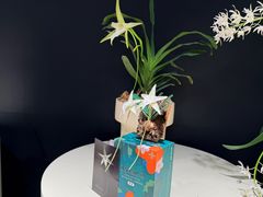 -北京植物园-展览温室