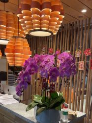 点击看大图 -花隐瑜伽·普拉提·红绳