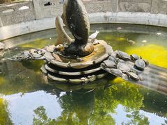 -天龙宝严素食馆(大兴善寺店)