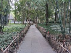 -成都ins星空塔酒店(春熙路天府广场店)