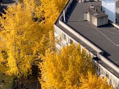 -四川大学(华西校区)