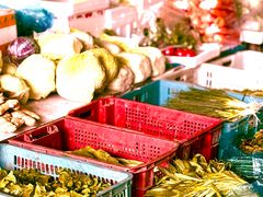 -江杨农产品批发市场