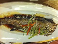 清蒸深海大青斑-唐宫海鲜舫