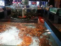 -尚海豆捞(乐虹坊店)