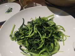 -金枝玉叶上海人家食府(三里河店)