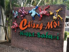 -清迈夜间动物园