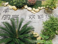 -乳源丽宫国际温泉酒店