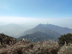 -梧桐山风景名胜区