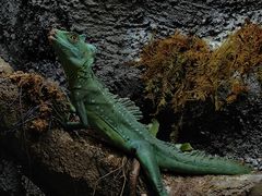 -中国湿地博物馆