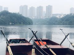景点-重庆彩云湖湿地公园
