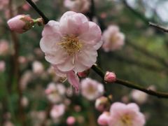 -草庵摩尼教遗址公园