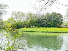 -西溪国家湿地公园