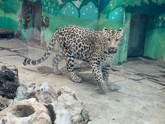 -昆明动物园