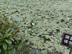 -青岩古镇