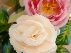 -布吉佳兆业广场