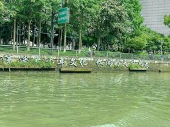 -运河游船(武林门码头)