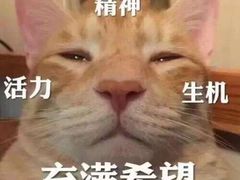 -大姐麻辣烫(莲宝中路店)