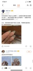 -Cici Nail日式美甲美睫工作室