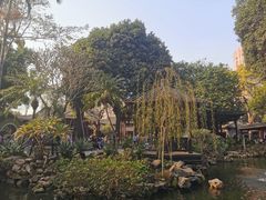 -龙的酒楼·手工早茶·顺德菜(近良路店)