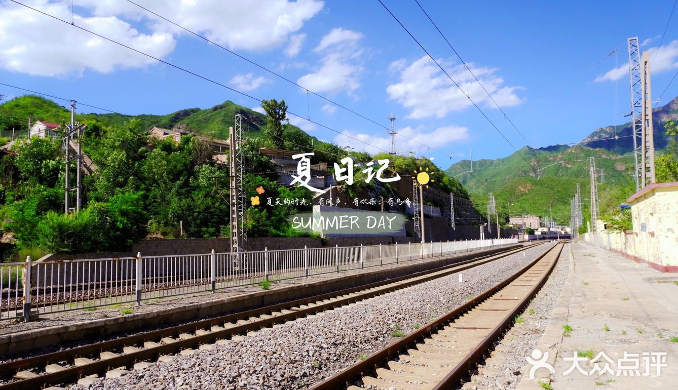 🍃夏日记🍃你爱上温热的空气了吗❓