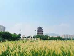 -门城湖公园