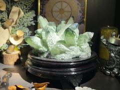 -雪灵魔法世界SHELLY’S TAROT(大良桂畔里店)