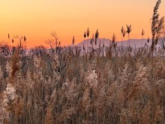 -野鸭湖国家湿地公园