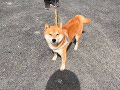 -鬼笑石后山停车场