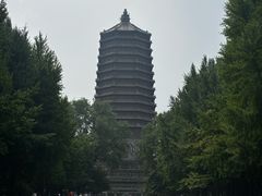 -玲珑塔公园