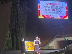 -灵玲国际马戏城