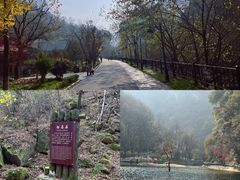 -少华山国家森林公园
