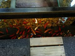 -颐和•海鲜砂锅粥•啫啫煲(奥林匹克广场店)