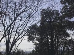 -西湖风景区十里琅珰-五云山
