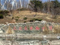 -大连森林动物园