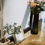 合肥探店｜夫妻小店 门口有店名里的橘猫嗷🐈
